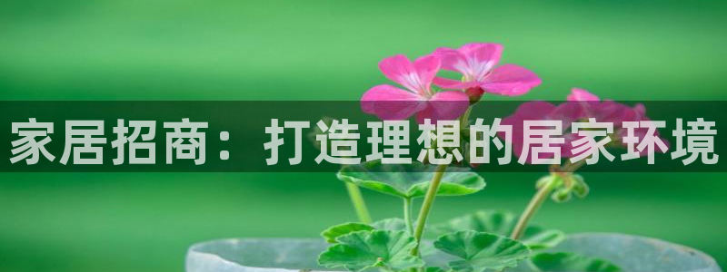 ug环球视讯官网网址