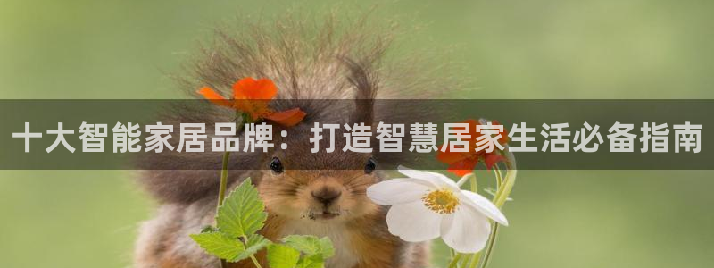ug环球会员官方客服电话