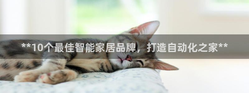 UG环球会员官方