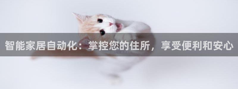 ug环球正网开户