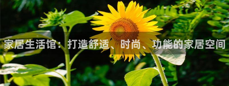ug环球视讯延时软件