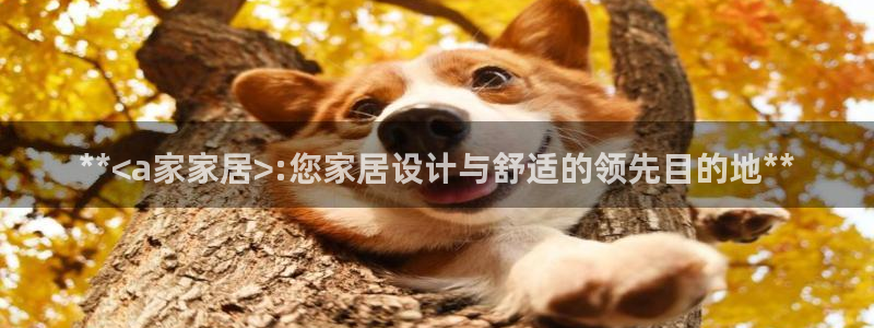 ug环球信用盘