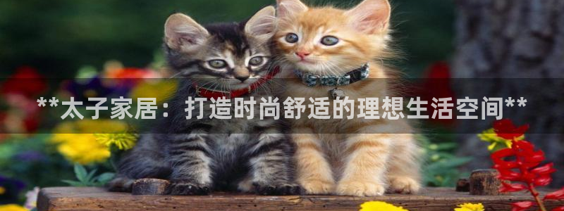 UG环球假网合作