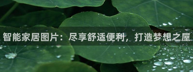 ug环球代理开户