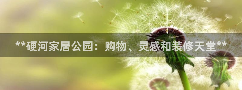 ug环球官网会员