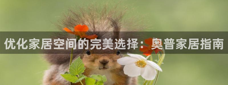 ug环球视讯下载