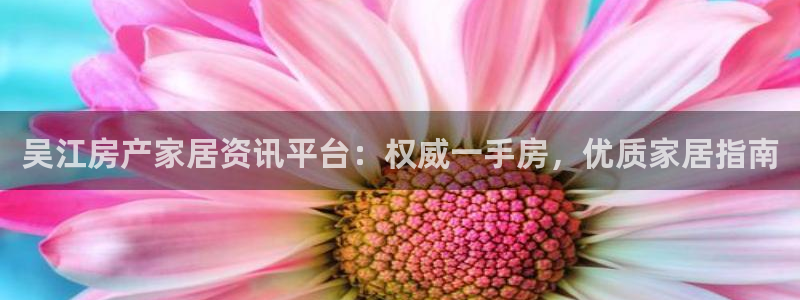 UG环球国际在线