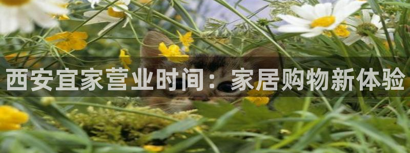 ug环球视讯手机版官网