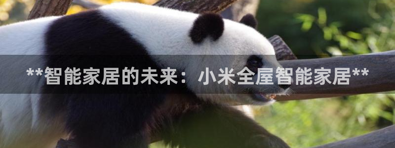 UG环球1比一