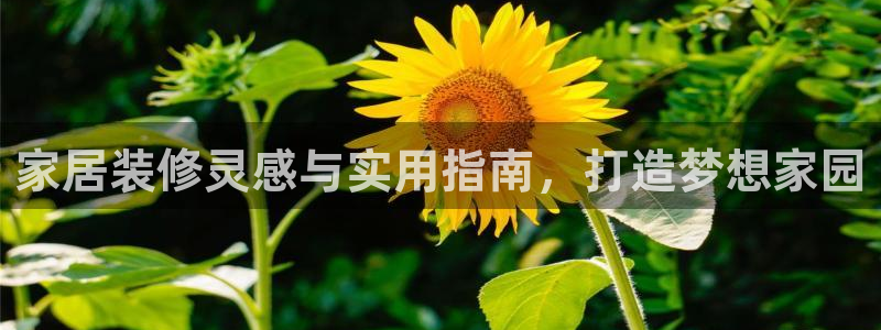 ug环球会员开户