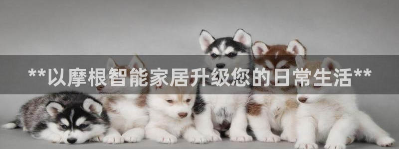 UG环球视讯下载