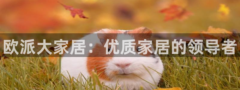 ug环球代理