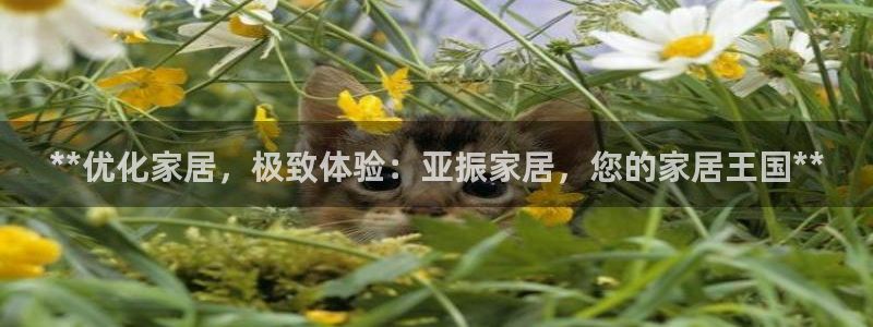 ug环球视讯官网网址