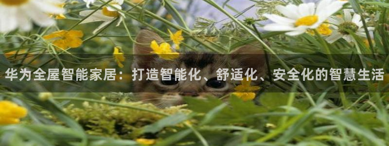 ug环球代理平台