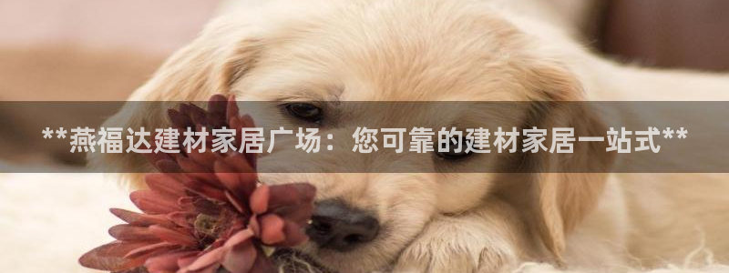 ug环球会员开户