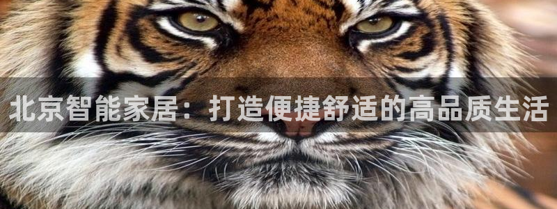 UG环球国际在线