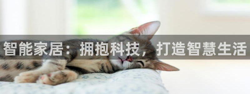 ug环球app下载