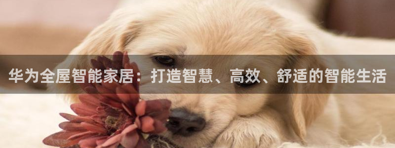 ug环球代理合作