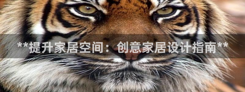 ug环球官网环球360