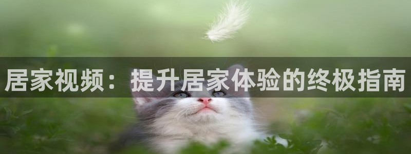环球国际ug