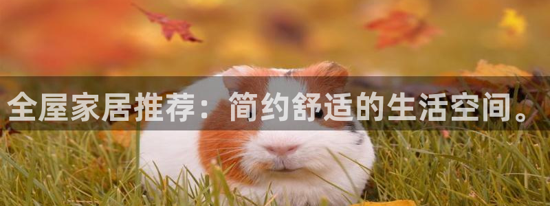 UG环球一比一包杀威agkk19在