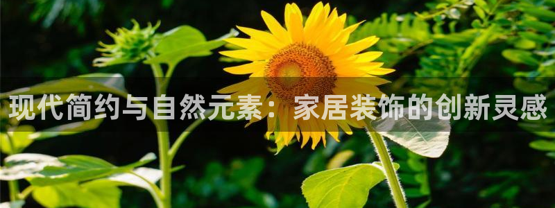 ug环球视讯官网