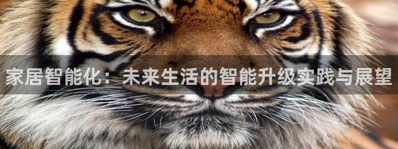 ug环球视讯延时软件