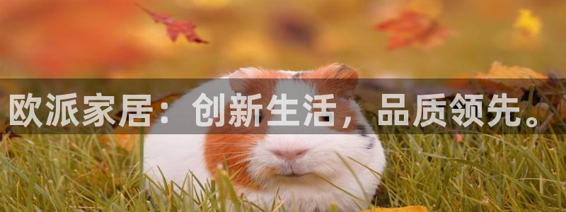 Ug环球网网址