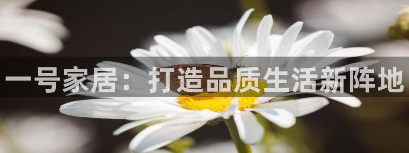 环球ug包杀网一比一