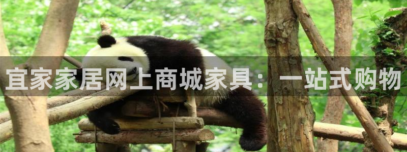 ug环球在线开户