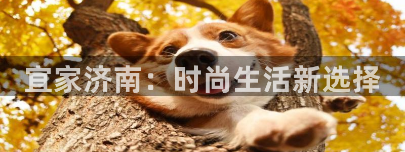 ug环球真假