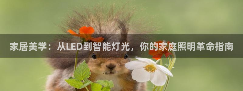 ug环球官网环球360