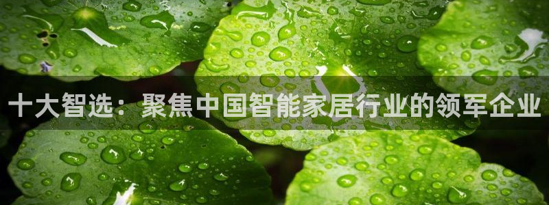 ug环球官网合作