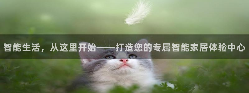 ug环球买代理