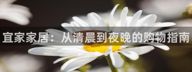 UG环球网一比一