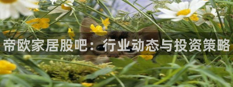 ug环球国际